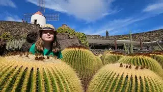 Jard&iacute;n de Cactus: The World's Most Beautiful Cactus Garden