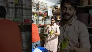 VISIT USAMA PETS