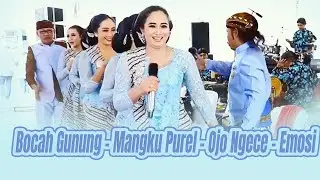 Bocah Gunung - Mangku Purel - Ojo Ngece - Emosi - New Cahyo Mudho - Kumpulan Terbaik