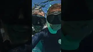 Underwater footage shot on #iPhone 15 Pro Max using the ProShot Dive Universal iPhone Case.