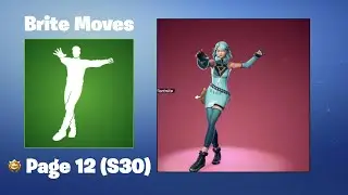 Brite Moves | Fortnite Emote