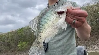 Pre Spawn Crappie Fishing