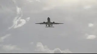 Expect travel prices to continue to rise