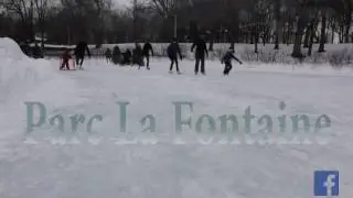 parc la fontaine en hiver