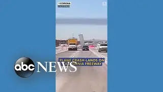 Plane crash-lands on California freeway