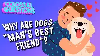 Why Are Dogs &ldquo;Man&rsquo;s Best Friend&rdquo;? | COLOSSAL QUESTIONS