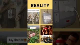 Reality 365#shorts #motivation #quotes #motivationaquotes