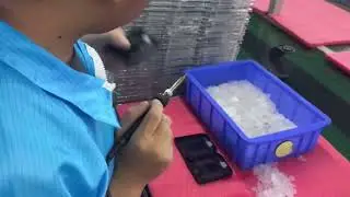 Mass Producing the Future: 2026 Qi2.2 Wireless Charging Factory Tour