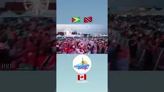 Militant SOS Canada Performance High Light / HighRollas