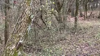 Old Mill Dam