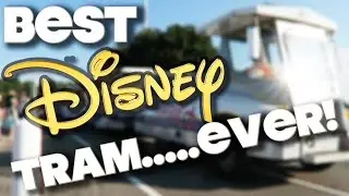 BEST DISNEY TRAM EVER!  - WALT DISNEY WORLD - ORLANDO