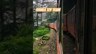 SHIMLA TOY TRAIN #shimla #shimlatoytrain #toytrain #himachalpradesh #indianrailways #shimlatrain