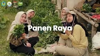 Recap Pelaksanaan KKNT Berdampak UNIPMA 2025 : Cerita Perubahan dari Desa Purwosari