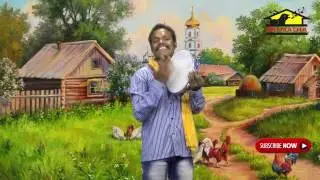 KODIPUNJU || Folk songs ||  prajagayakudu Devi Sri || Musichouse27