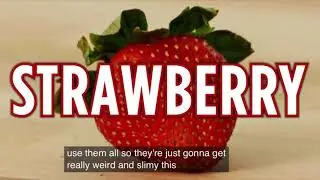 How To Slice Every Fruit!!