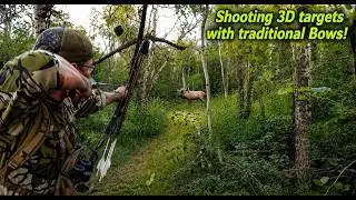 Shooting 3D Targets with Traditional Bows