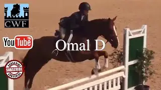 Omal D & Jessica West Ariat, Adult Hunter Tryon Summer 6