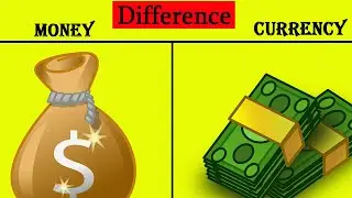 Money vs Currency | Difference between money and currency | #currency