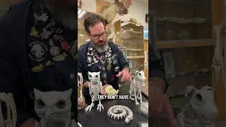Inaccuracies of Halloween Skeletons