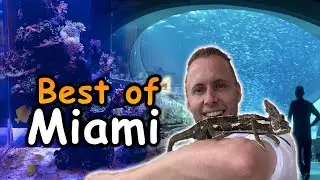 Top 7 MUST-See Miami Attractions | Miami City amd Beach, The Everglades and More!