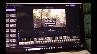 Observations From My Apeman Game Camera (Video #1 of 3)