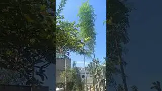 naturebackyard✨💖