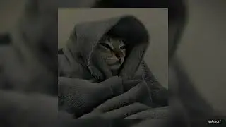 Attention [ sped up ]