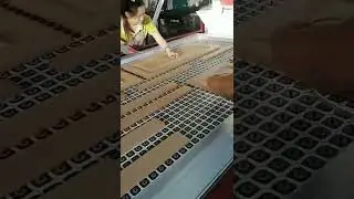 TM3000P-Ⅲ Three-tray vacuum membrane press machine with automatic PIN system