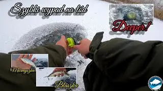 Szybki wypad na l&oacute;d i przył&oacute;w KR&Oacute;LA W&Oacute;D! Mormyszka i blaszka!