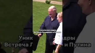 Встреча Лукашенко и Путина #лукашенко #беларусь #россия #путин