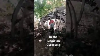Gyrocycle Miami singletrack #foxmtb #rideeuc #electricunicycle #singletrack