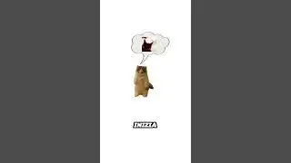 Gelosia Spiegata dai Gatti (Grattino)#gatti