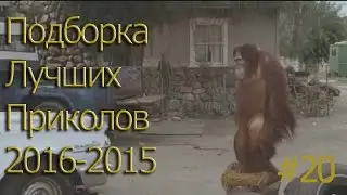 ПОДБОРКА ЛУЧШИХ ПРИКОЛОВ 2015-2016 #20 Compilation funny videos and best fails.
