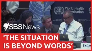 WHO chief breaks down during emotional plea for Gaza ceasefire | SBS News