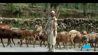Jeep Safari Tour to Peshawar Swat Valley-- NORTH PAKISTAN