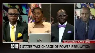 Strong Regulation in Transmission Sector Will  Reduce Risk Posed By  Privatisation - Agule