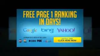 Miami SEO Expert