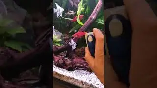 My glass cleaner Rs-09 Aquarium Magnetic Glass Cleaner.