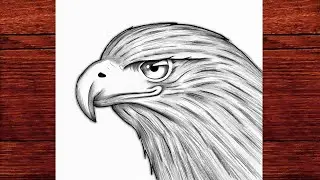 Realistic Hawk Drawing | Simple Pencil Shading Step by Step