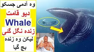 Man Who was Swallowed by a Whale  - Story of Michael Packard