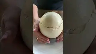 Girl discovered a massive egg in forest  #shorts #egg #shortvideo