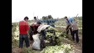 Watermelon Seeds Extractor Machine Pumpkin Seed Harvester