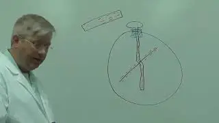 5A22.10 Braun Electroscope (Instructor video 2)