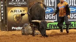 The Best of Asteroid: 2013 (PBR)