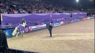 Jay Halim and Aragon Z Speed Horse of The Year 2021