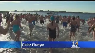 L Street Brownies Polar Bear Plunge