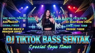 DJ TIKTOK BASS SENTAK || LAGU TIMUR NONSTOP || Cina Timur Remix 2026