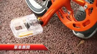 Ergonomical City Bike ,ErgoBike