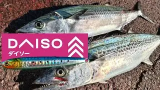 【ショアジギング】ダイソーの100均ジグを使ってみたら？