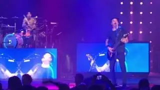 She's Out Of Her Mind - Blink 182 (Live)